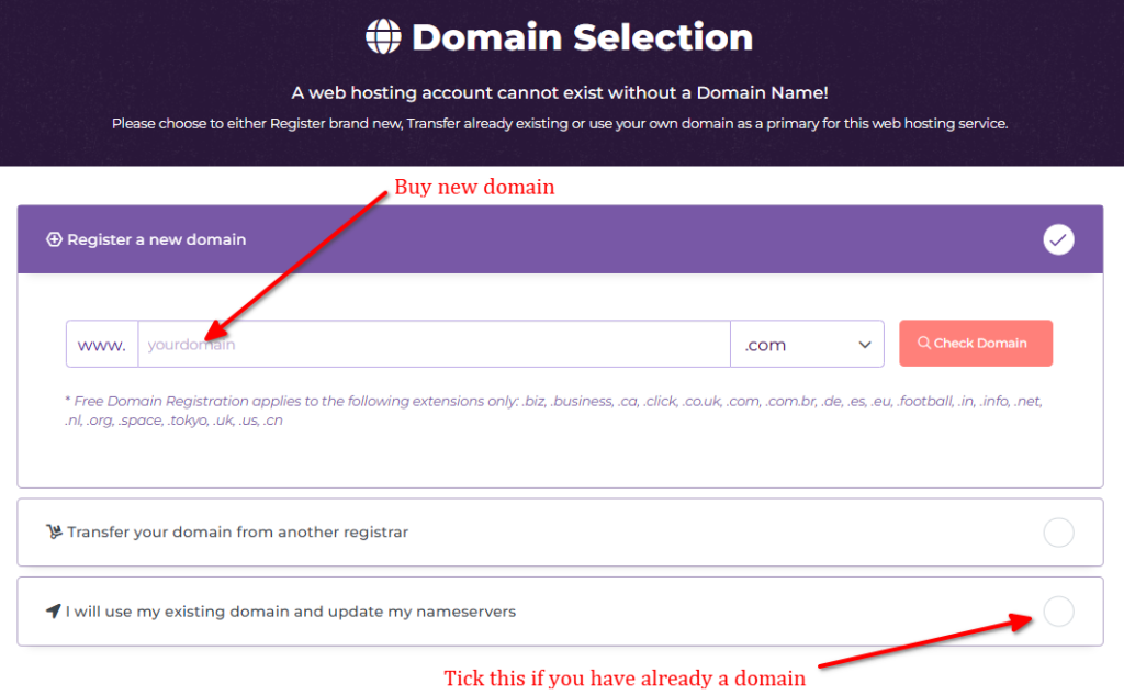 HostArmada Domain Selection