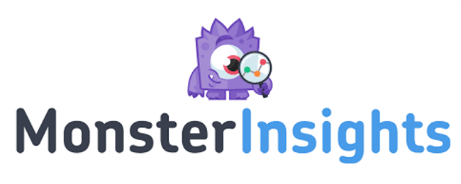 MonsterInsights Plugin